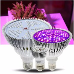 Kamstore.com.ua Фитолампа полного спектра для выращивания растений 200LED (2)