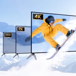 Sd6fdcb7c9f644463b2bedb957ddccd89n Sd6fdcb7c9f644463b2bedb957ddccd89n